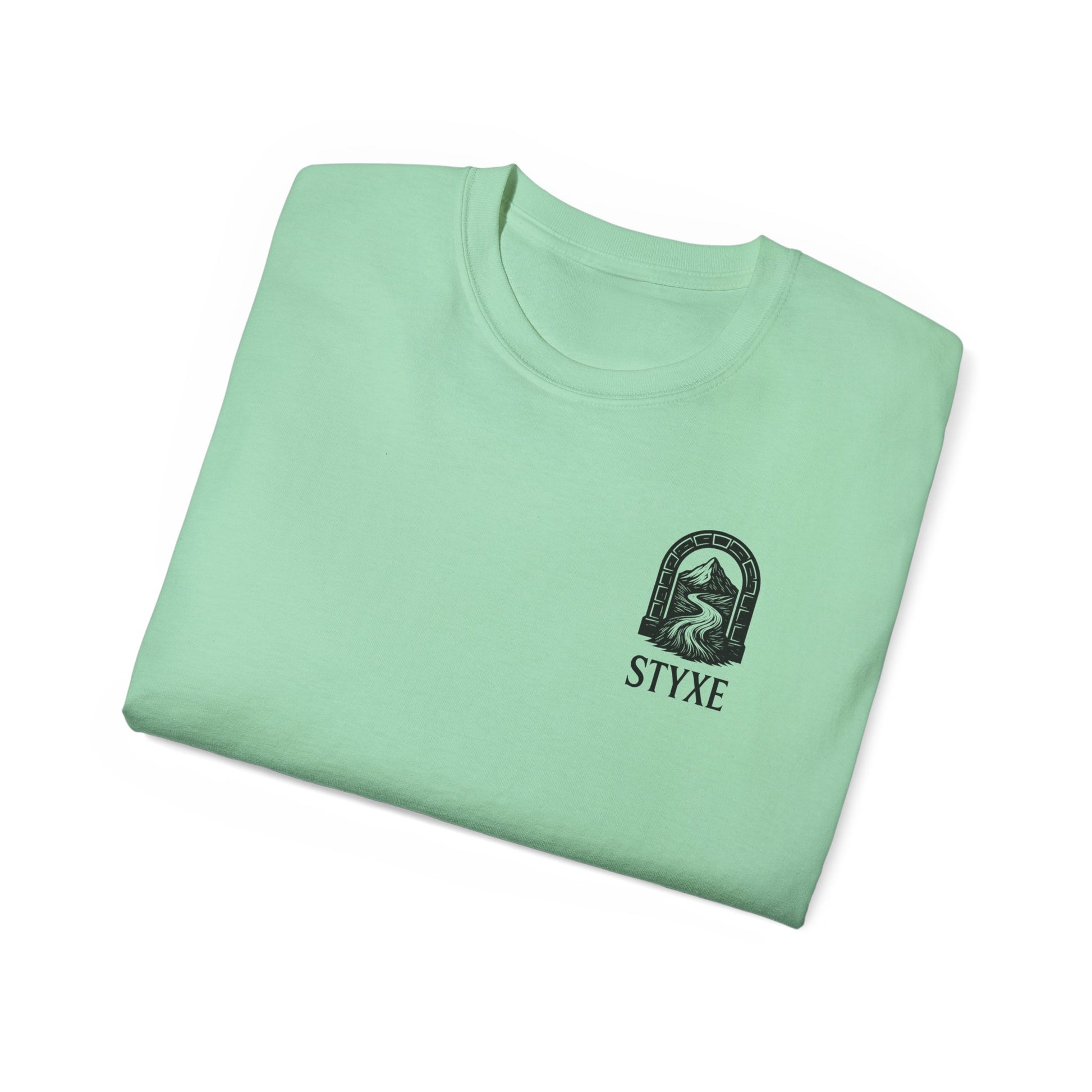 Unisex Ultra Cotton Tee