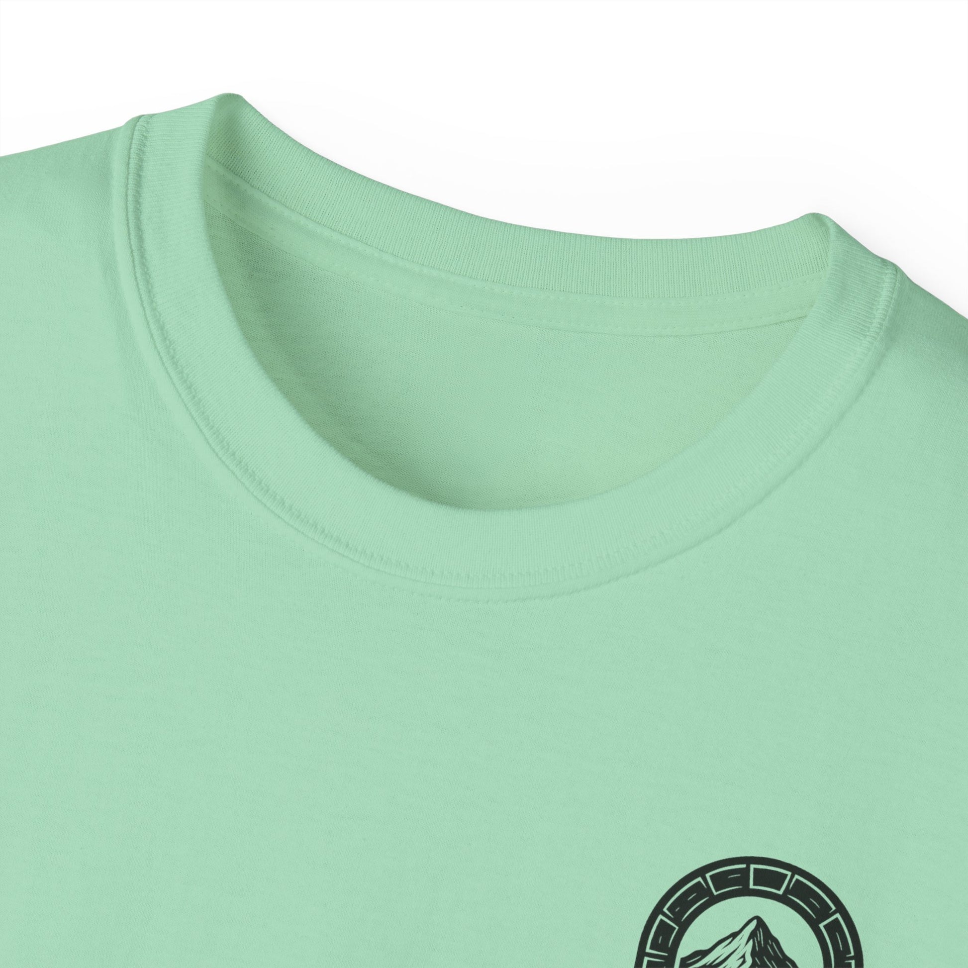 Unisex Ultra Cotton Tee